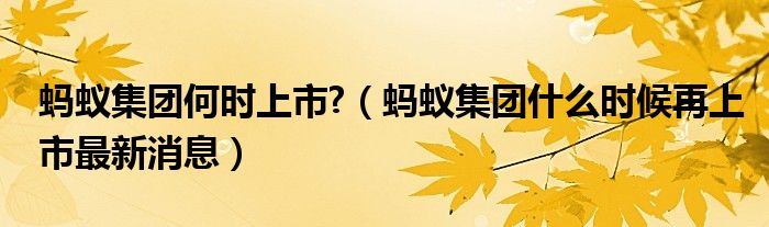 蚂蚁集团何时上市?(蚂蚁集团什么时候再上市最新消息)