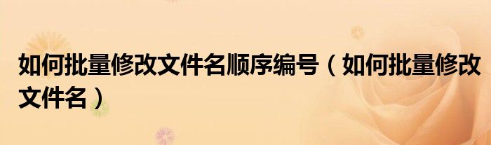 如何批量修改文件名顺序编号(如何批量修改文件名)