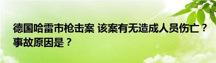 德国哈雷市枪击案 该案有无造成人员伤亡？事故原因是？