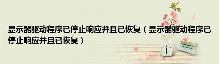 显示器驱动程序已停止响应并且已恢复(显示器驱动程序已停止响应并且已恢复)