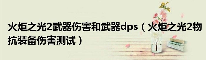 火炬之光2武器伤害和武器dps(火炬之光2物抗装备伤害测试)