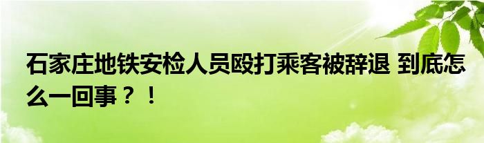 石家庄地铁安检人员殴打乘客被辞退 到底怎么一回事？！