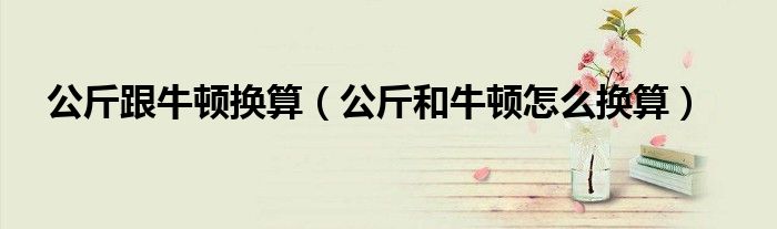 公斤跟牛顿换算(公斤和牛顿怎么换算)