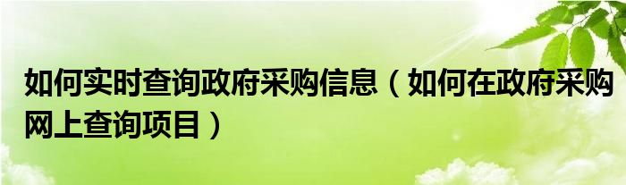 如何实时查询政府采购信息(如何在政府采购网上查询项目)