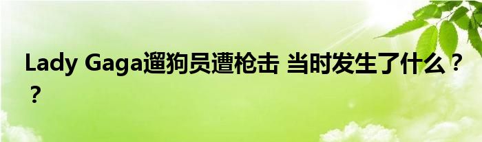 Lady Gaga遛狗员遭枪击 当时发生了什么??