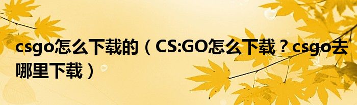 csgo怎么下载的(CS:GO怎么下载?csgo去哪里下载)