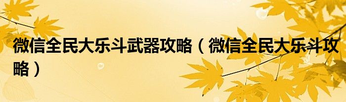 微信全民大乐斗武器攻略(微信全民大乐斗攻略)