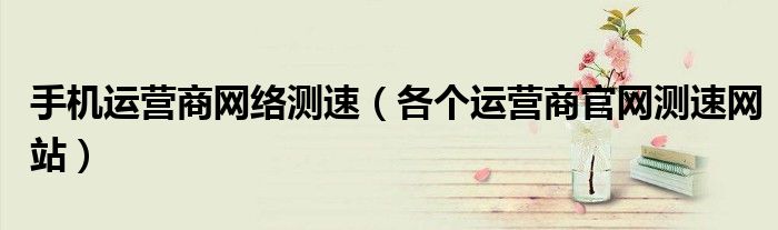 手机运营商网络测速(各个运营商官网测速网站)
