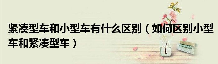 紧凑型车和小型车有什么区别(如何区别小型车和紧凑型车)