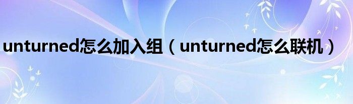 unturned怎么加入组(unturned怎么联机)