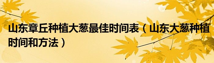 山东章丘种植大葱最佳时间表（山东大葱种植时间和方法）