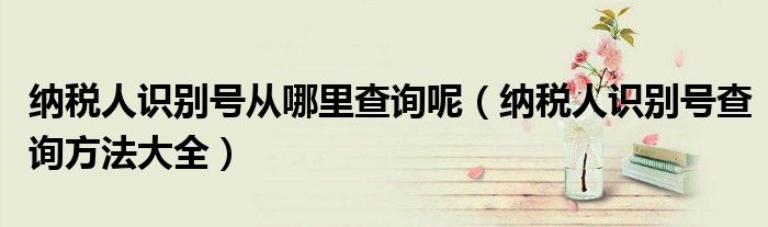 纳税人识别号从哪里查询呢(纳税人识别号查询方法大全)