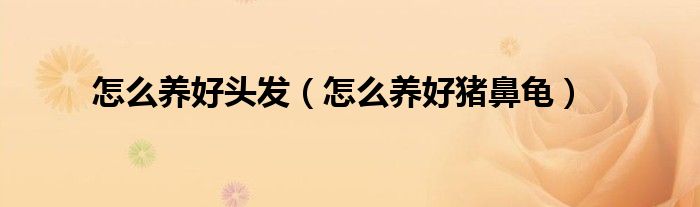 怎么养好头发(怎么养好猪鼻龟)