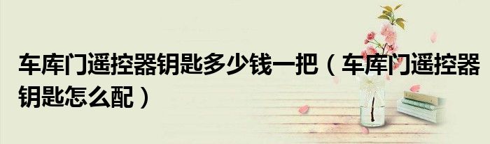 车库门遥控器钥匙多少钱一把(车库门遥控器钥匙怎么配)