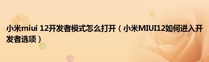 小米miui 12开发者模式怎么打开(小米MIUI12如何进入开发者选项)