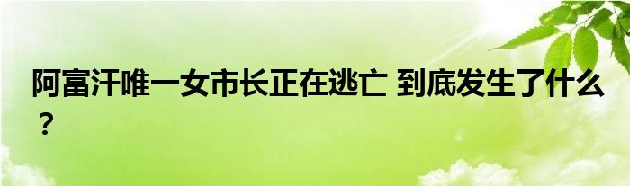 阿富汗唯一女市长正在逃亡 到底发生了什么?