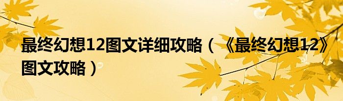 最终幻想12图文详细攻略(《最终幻想12》图文攻略)