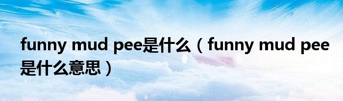 funny mud pee是什么(funny mud pee是什么意思)