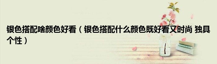 银色搭配啥颜色好看(银色搭配什么颜色既好看又时尚 独具个性)