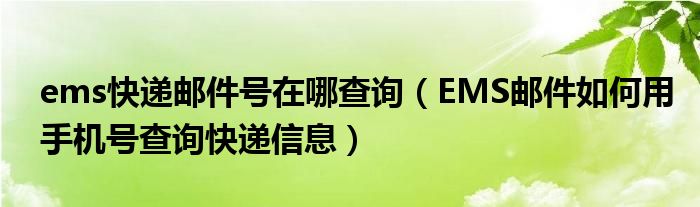 ems快递邮件号在哪查询(EMS邮件如何用手机号查询快递信息)