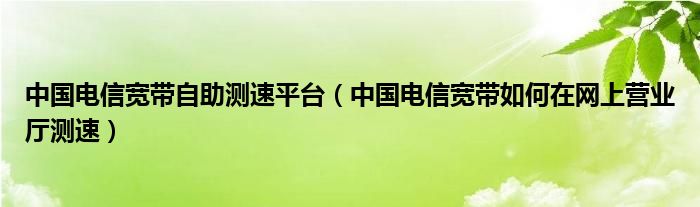 中国电信宽带自助测速平台(中国电信宽带如何在网上营业厅测速)