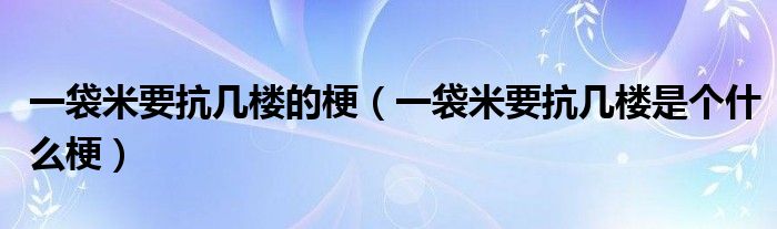 一袋米要抗几楼的梗(一袋米要抗几楼是个什么梗)