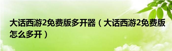大话西游2免费版多开器(大话西游2免费版怎么多开)