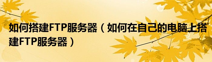 如何搭建FTP服务器(如何在自己的电脑上搭建FTP服务器)