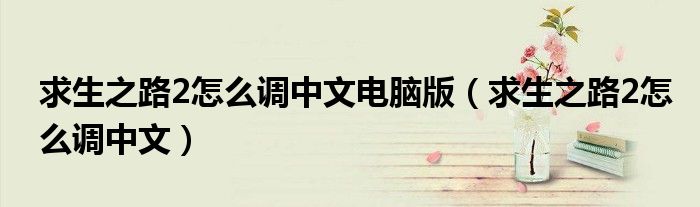 求生之路2怎么调中文电脑版(求生之路2怎么调中文)