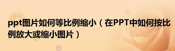 ppt图片如何等比例缩小（在PPT中如何按比例放大或缩小图片）