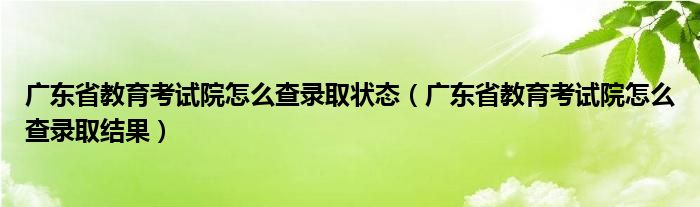 广东省教育考试院怎么查录取状态（广东省教育考试院怎么查录取结果）