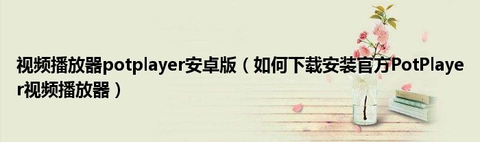 视频播放器potplayer安卓版(如何下载安装官方PotPlayer视频播放器)