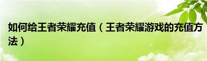 如何给王者荣耀充值(王者荣耀游戏的充值方法)