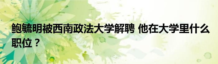 鲍毓明被西南政法大学解聘 他在大学里什么职位？