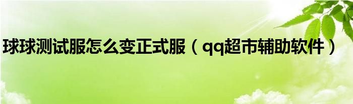 球球测试服怎么变正式服(qq超市辅助软件)