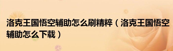 洛克王国悟空辅助怎么刷精粹(洛克王国悟空辅助怎么下载)