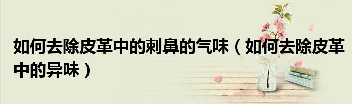 如何去除皮革中的刺鼻的气味（如何去除皮革中的异味）