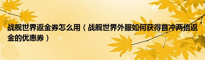 战舰世界返金券怎么用(战舰世界外服如何获得首冲两倍返金的优惠券)