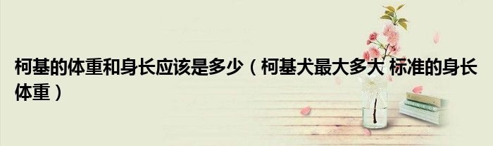 柯基的体重和身长应该是多少(柯基犬最大多大 标准的身长体重)