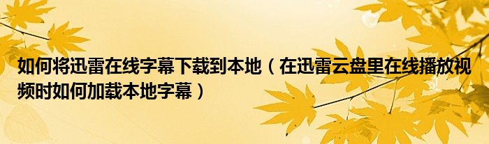 如何将迅雷在线字幕下载到本地(在迅雷云盘里在线播放视频时如何加载本地字幕)