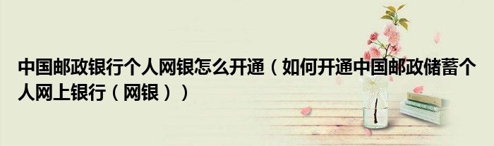 中国邮政银行个人网银怎么开通(如何开通中国邮政储蓄个人网上银行(网银))