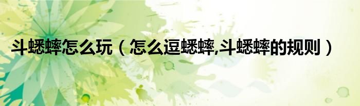斗蟋蟀怎么玩(怎么逗蟋蟀,斗蟋蟀的规则)