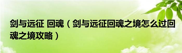 剑与远征 回魂(剑与远征回魂之境怎么过回魂之境攻略)