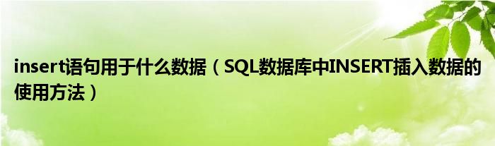 insert语句用于什么数据（SQL数据库中INSERT插入数据的使用方法）