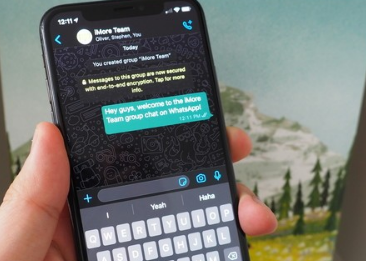 WhatsApp很快就会让人们更容易看到人们喜欢哪些图片