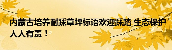 内蒙古培养耐踩草坪标语欢迎踩踏 生态保护人人有责!