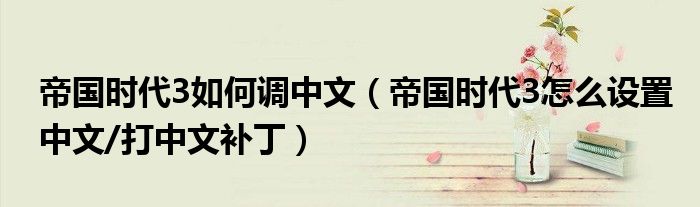帝国时代3如何调中文(帝国时代3怎么设置中文/打中文补丁)