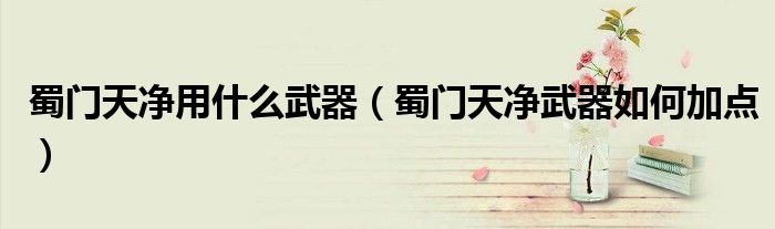 蜀门天净用什么武器(蜀门天净武器如何加点)