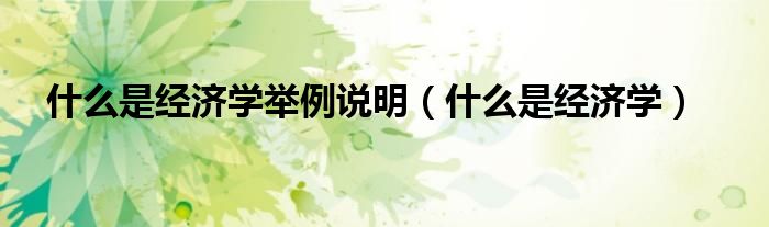 什么是经济学举例说明(什么是经济学)
