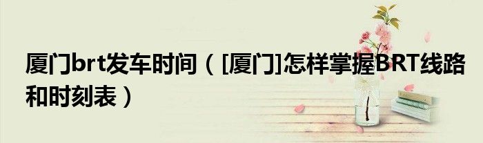 厦门brt发车时间（[厦门]怎样掌握BRT线路和时刻表）